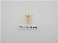 藏品(紅斑苔蛾)的圖片